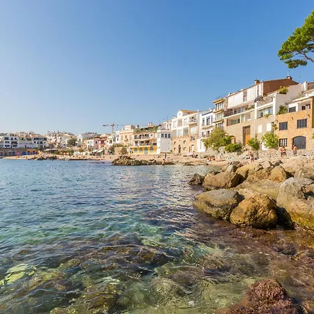 Miranda 2 Daire Llafranc